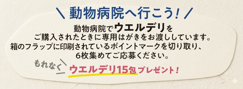 動物病院へ行こう!
