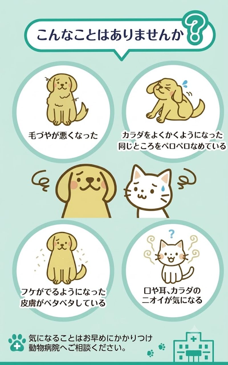 ウエルデリ皮膚サポートのおなやみ
